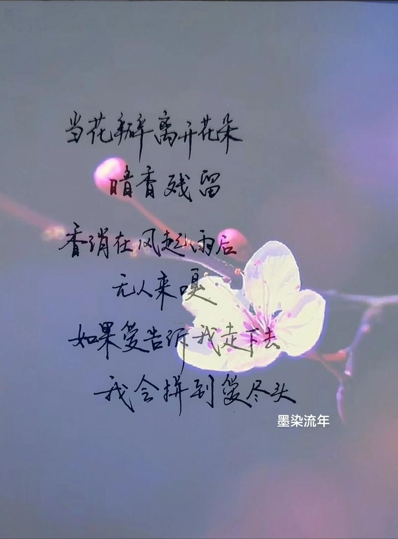 孤独,亦可旖旎成花 第1张 孤独,亦可旖旎成花 第1张