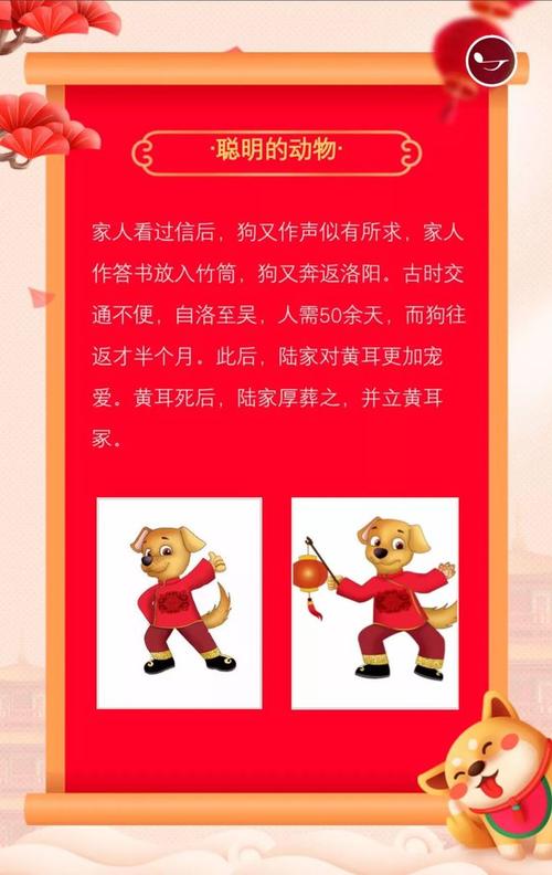 狗年说狗 第1张 狗年说狗 第1张