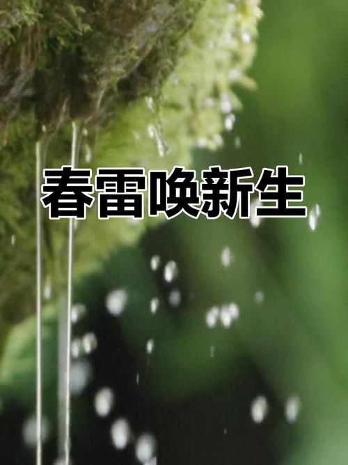 春雷 第1张 春雷 第1张