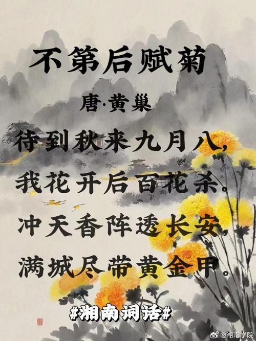我们老了,守着一盆菊花读诗 第1张 我们老了,守着一盆菊花读诗 第1张