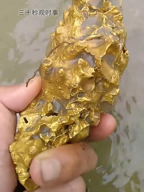 “粪便”成金 第1张 “粪便”成金 第1张