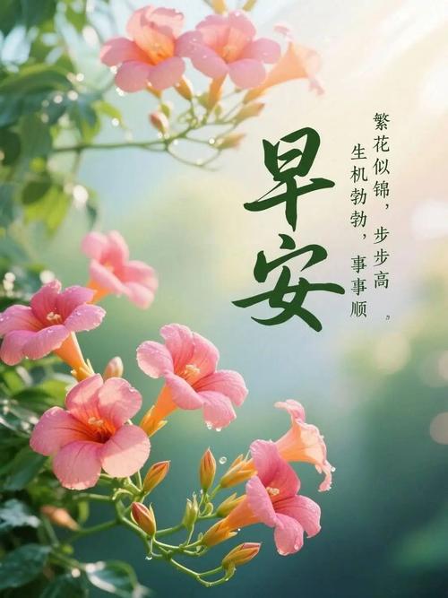 携一抹花香,守一份淡然 第1张 携一抹花香,守一份淡然 第1张