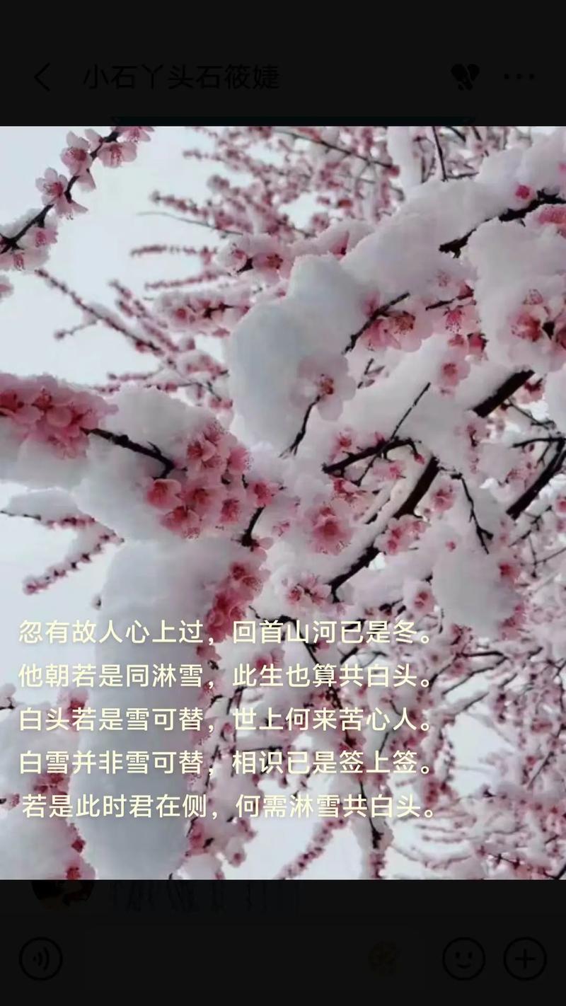 此生来过 第1张 此生来过 第1张