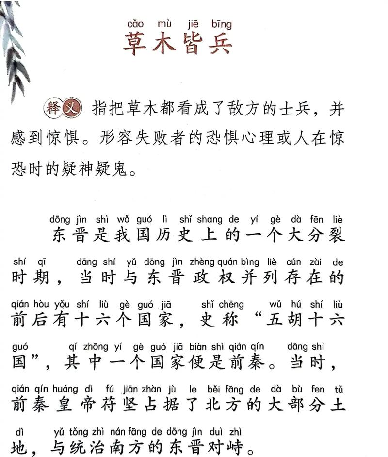 一草一木写满了故事  第1张