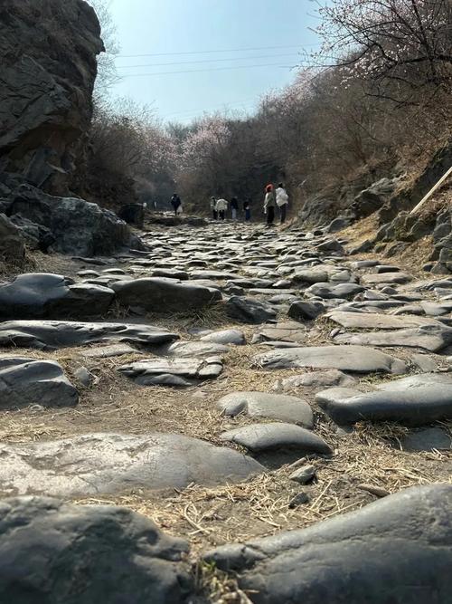 白石山林场记忆  第1张