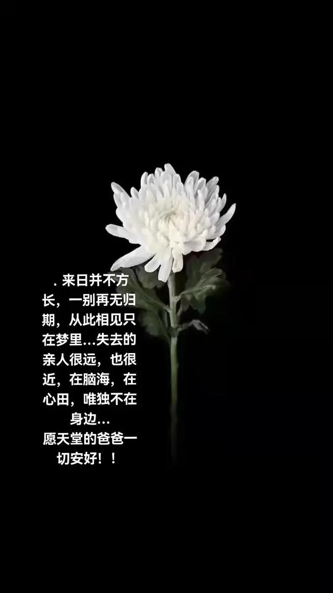 有多少怀念,值得用心追思 第1张 有多少怀念,值得用心追思 第1张