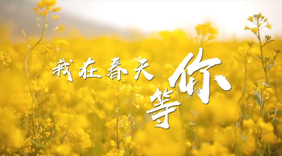 下一个春天等你 第1张 下一个春天等你 第1张