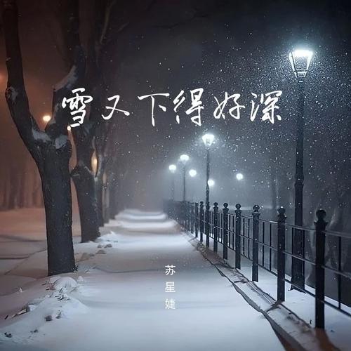 雪最终还是来了  第1张
