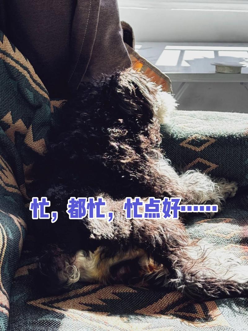 忙耶?闲耶? 第1张 忙耶?闲耶? 第1张