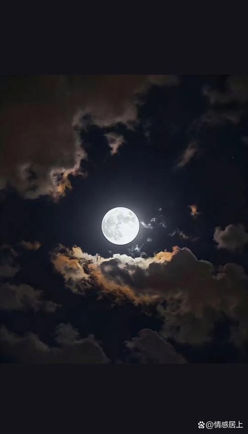 今夜,月又圆了 第1张 今夜,月又圆了 第1张