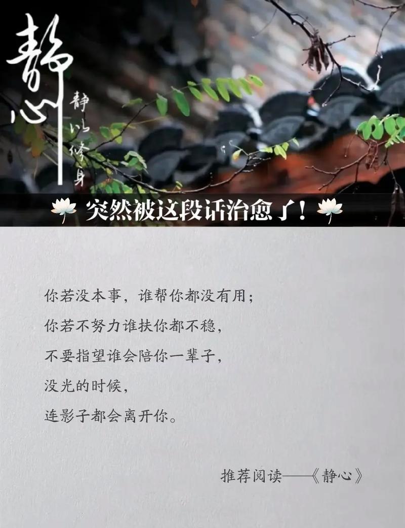 沉静,与世界温柔相处 第1张 沉静,与世界温柔相处 第1张