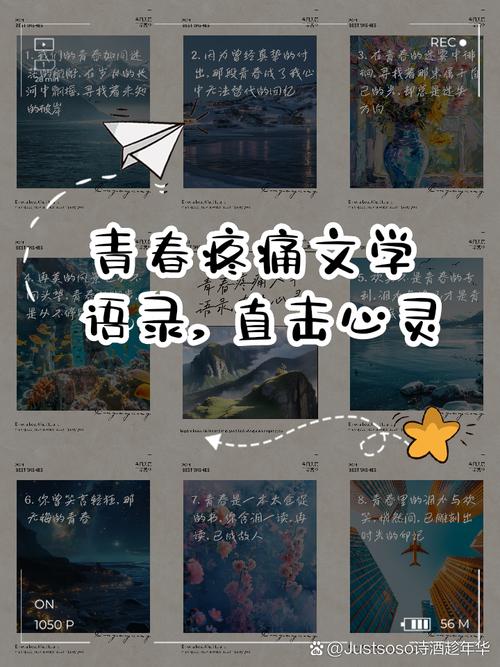 青春,永远的痛 第1张 青春,永远的痛 第1张