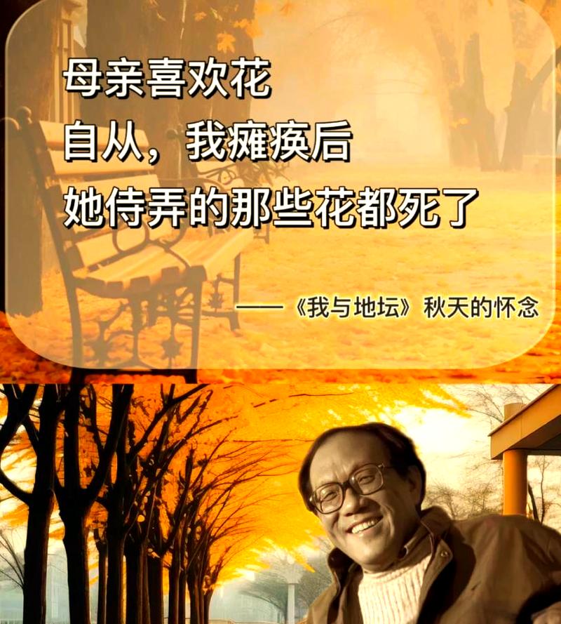 秋天的怀念 第1张 秋天的怀念 第1张