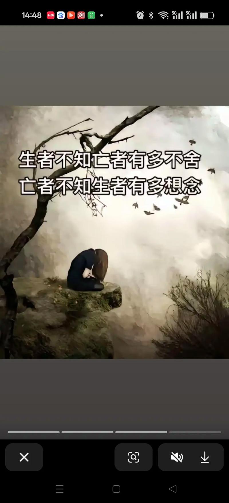 念为何在此成为了伤痛 第1张 念为何在此成为了伤痛 第1张
