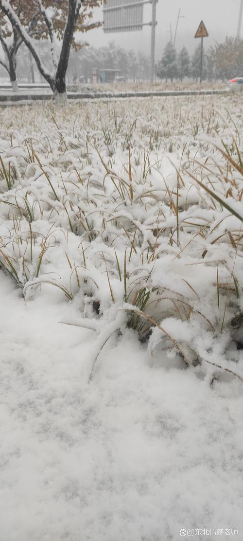 雪花飘飘 第1张 雪花飘飘 第1张