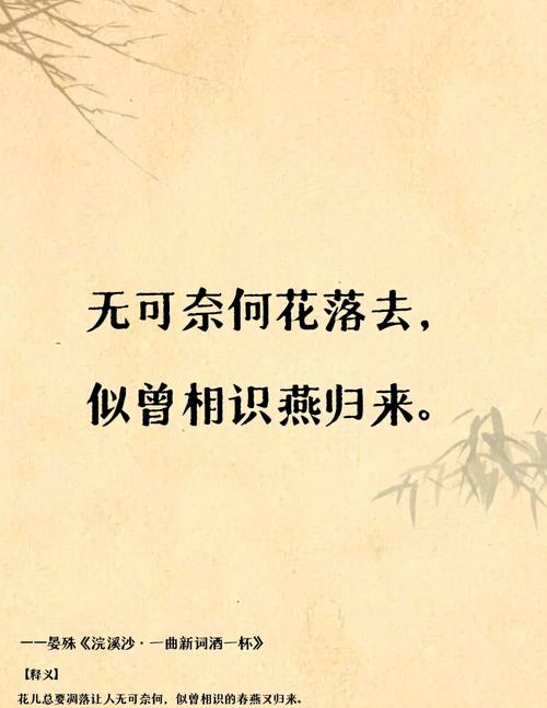 平如美棠:天涯地角有穷时,只有相思无尽处 第1张 平如美棠:天涯地角有穷时,只有相思无尽处 第1张