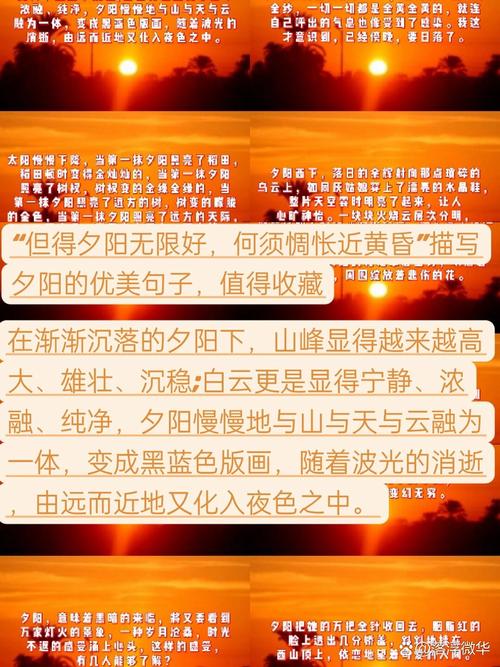 有关夕阳的优美句子精选 第1张 有关夕阳的优美句子精选 第1张