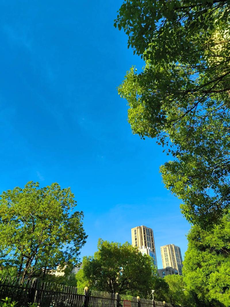 天蓝蓝  第1张