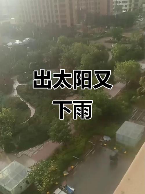 那一场太阳雨 第1张 那一场太阳雨 第1张