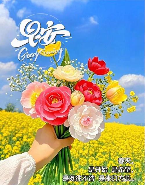 邀请春天阳光进来 第1张 邀请春天阳光进来 第1张