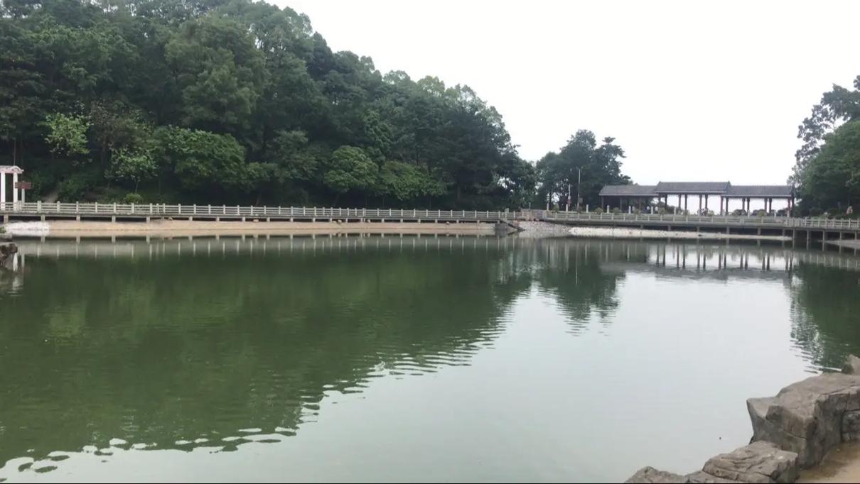 真假是非 第1张 真假是非 第1张