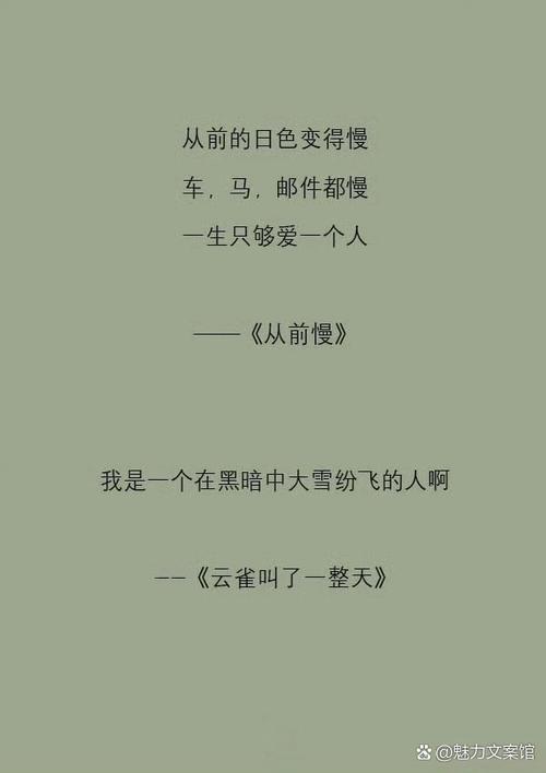 从前慢 第1张 从前慢 第1张