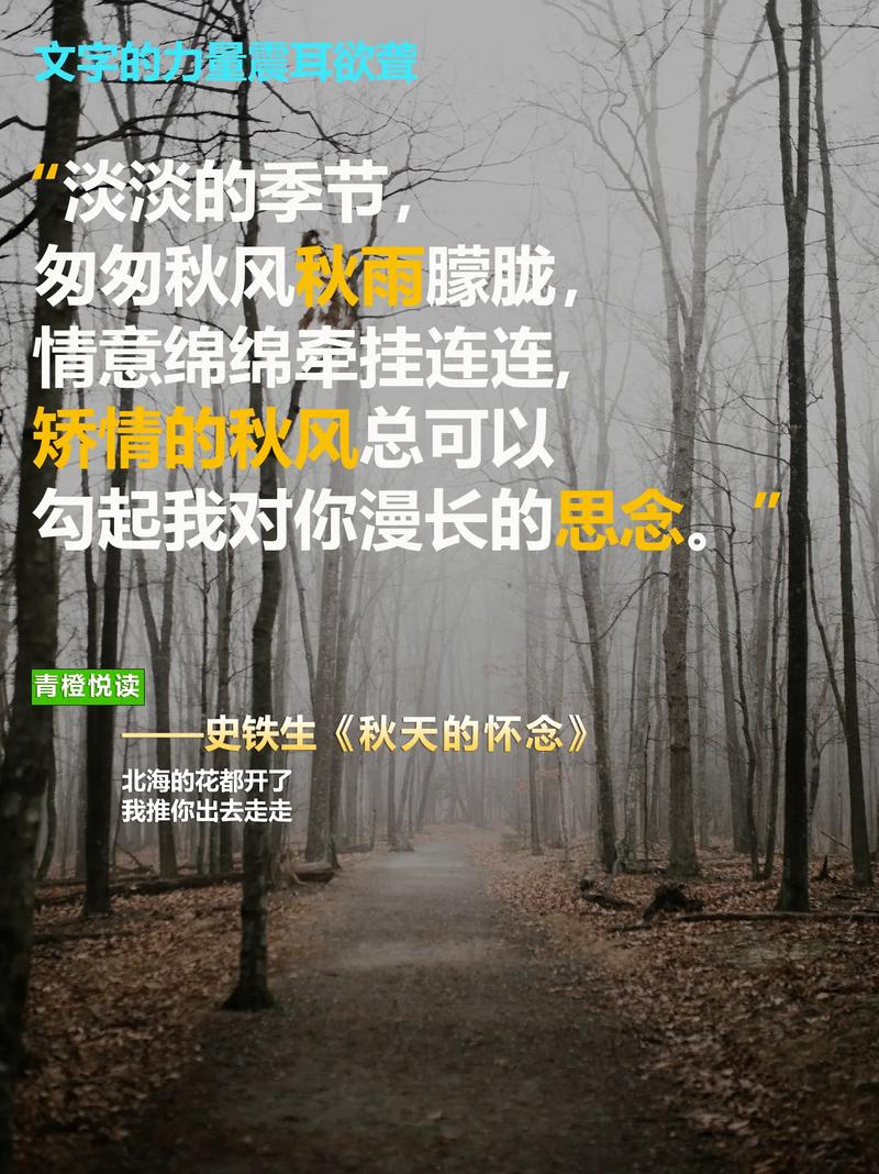 秋之感怀 第1张 秋之感怀 第1张