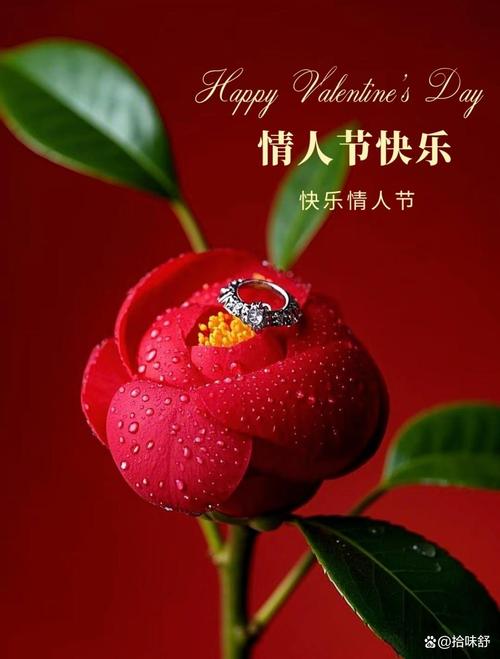 情人节快乐 第1张 情人节快乐 第1张
