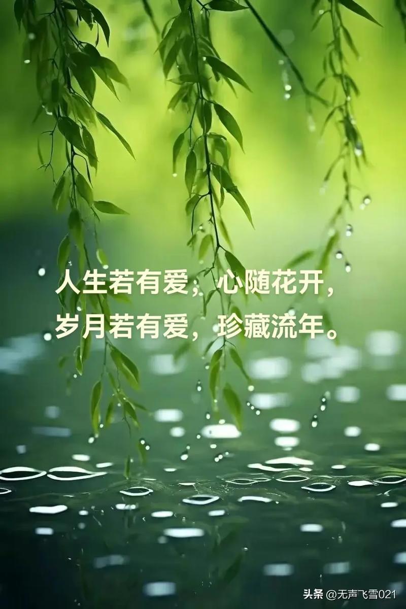 斑斓的生活,柔弱的心 第1张 斑斓的生活,柔弱的心 第1张