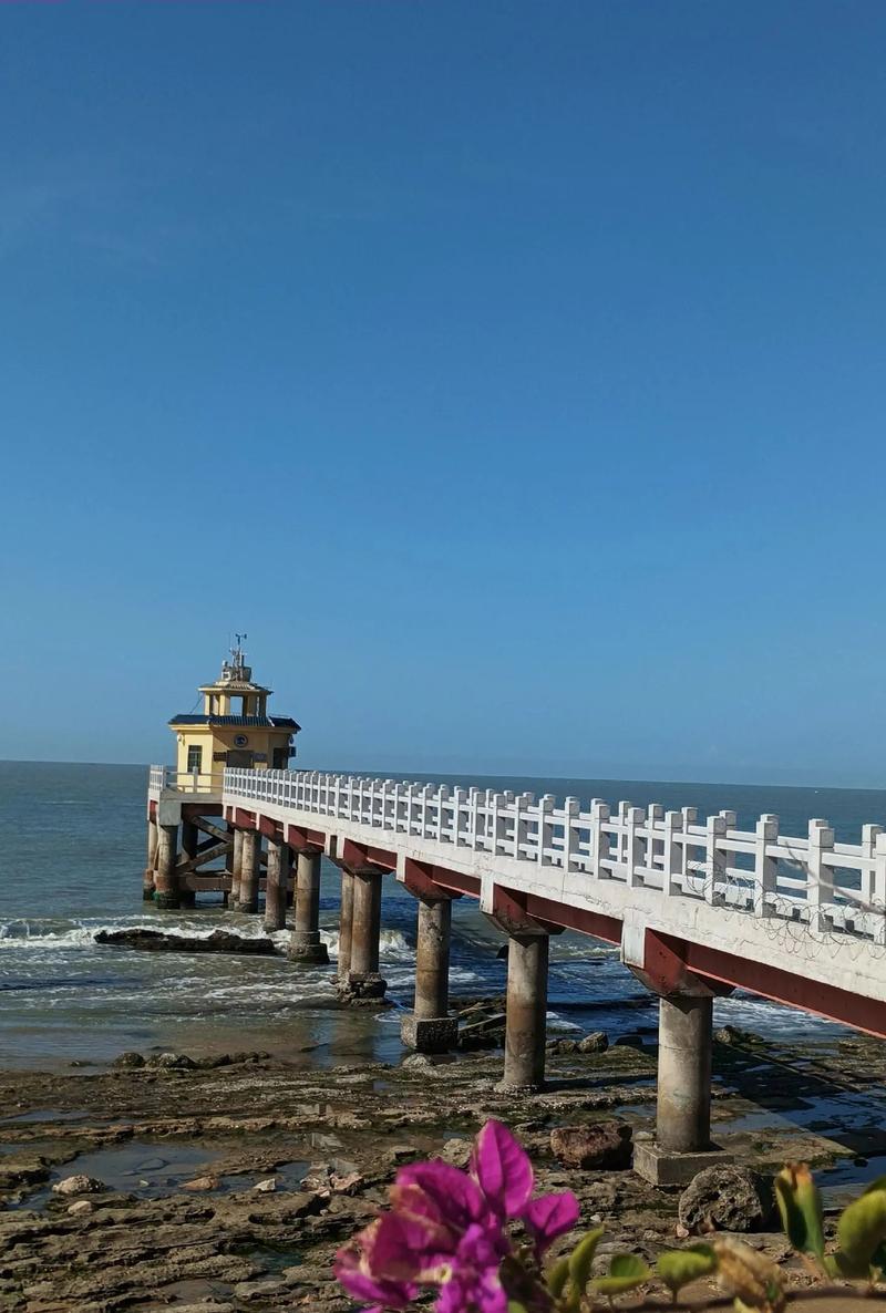 海歌 第1张 海歌 第1张