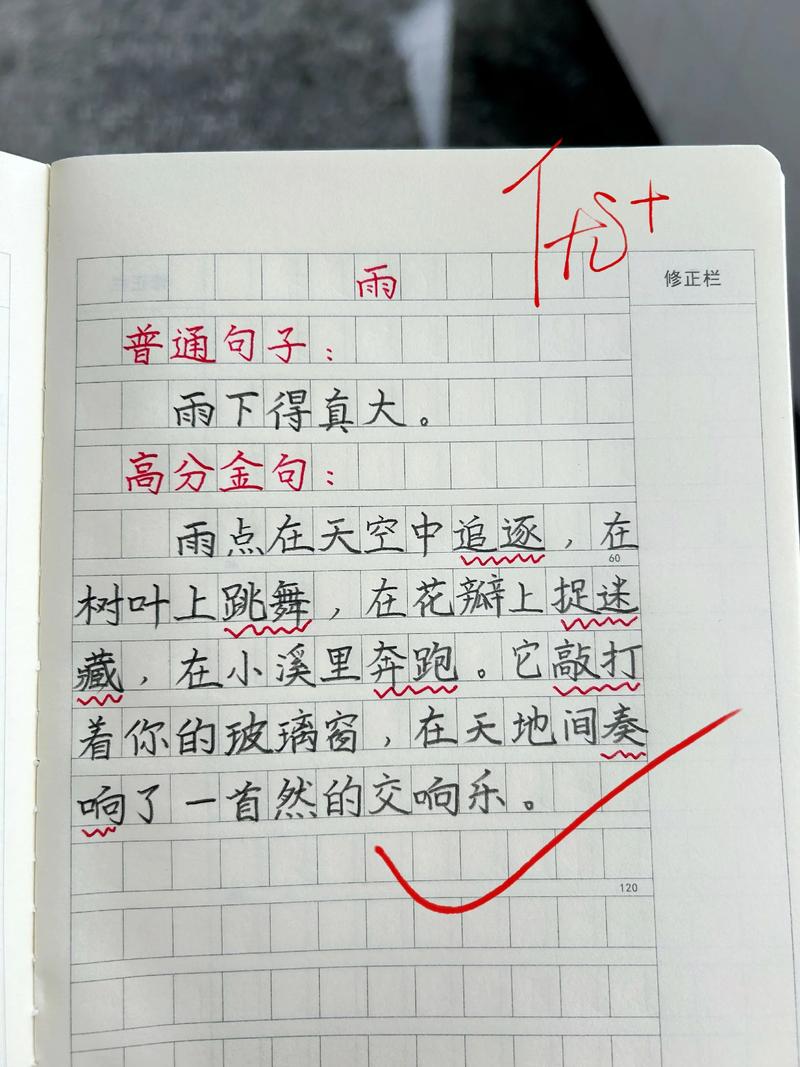 雨天随想 第1张 雨天随想 第1张