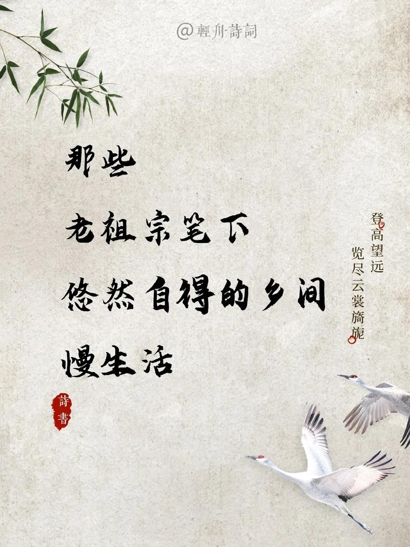 慢慢的老 静静的过 第1张 慢慢的老 静静的过 第1张
