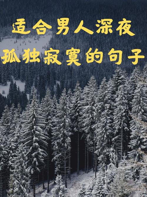 寂寞的夜,寂寞的心 第1张 寂寞的夜,寂寞的心 第1张