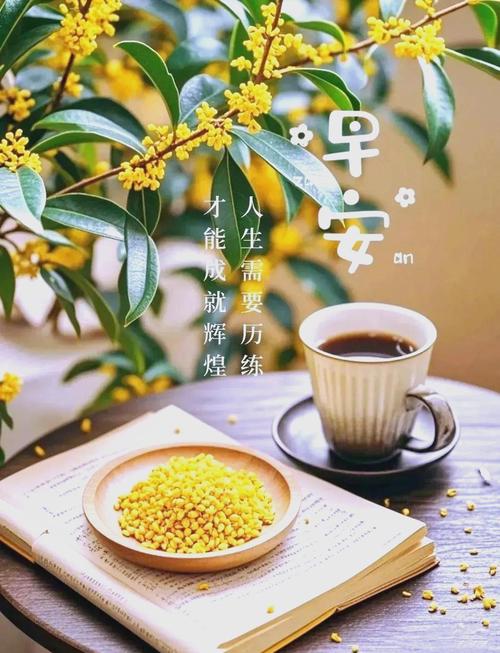 祝愿 第1张 祝愿 第1张