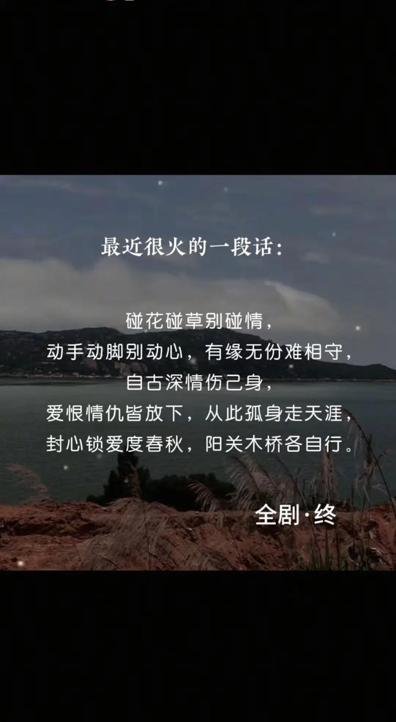 伤了心,别伤了情 第1张 伤了心,别伤了情 第1张