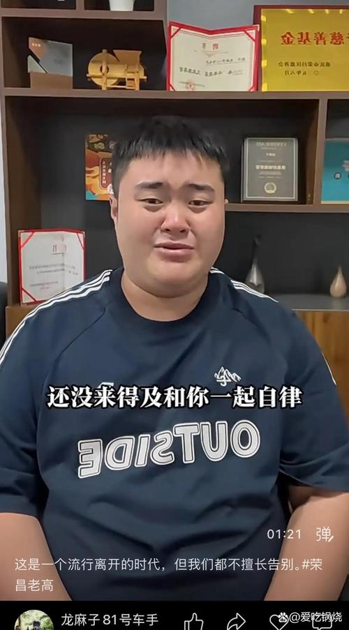 生不逢时的老高 第1张 生不逢时的老高 第1张