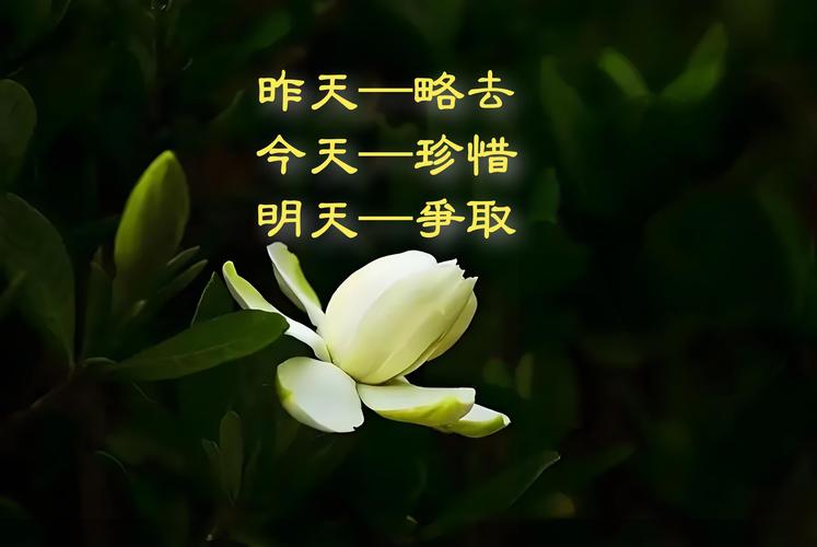 珍爱生命,以待将来 第1张 珍爱生命,以待将来 第1张
