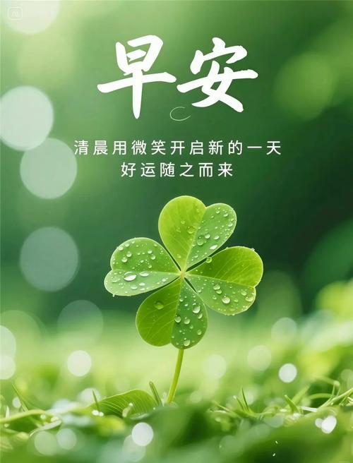放逐一份心情,还灵魂一份洒脱,让生命一路欢歌,早安 第1张 放逐一份心情,还灵魂一份洒脱,让生命一路欢歌,早安 第1张
