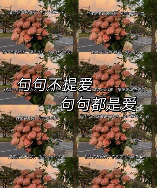 句句不提爱,句句都是爱,最美情话30句,有补充的吗? 第1张 句句不提爱,句句都是爱,最美情话30句,有补充的吗? 第1张