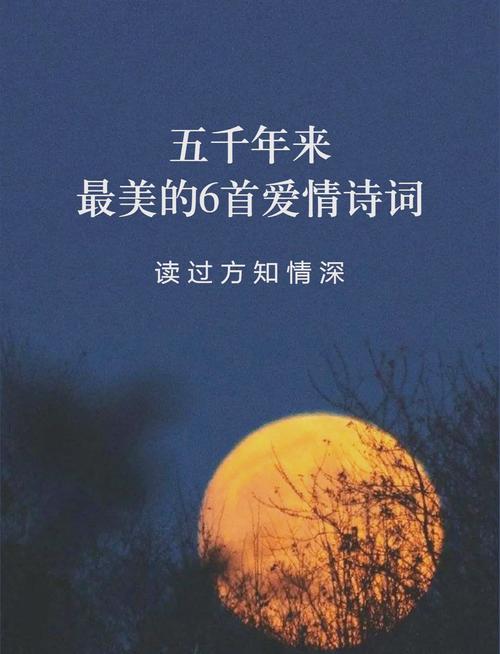 恋爱诗句大全,感性浪漫句子集锦 第1张 恋爱诗句大全,感性浪漫句子集锦 第1张