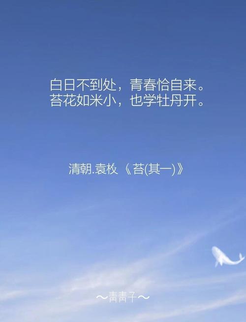 青春一半,似水流年 第1张 青春一半,似水流年 第1张