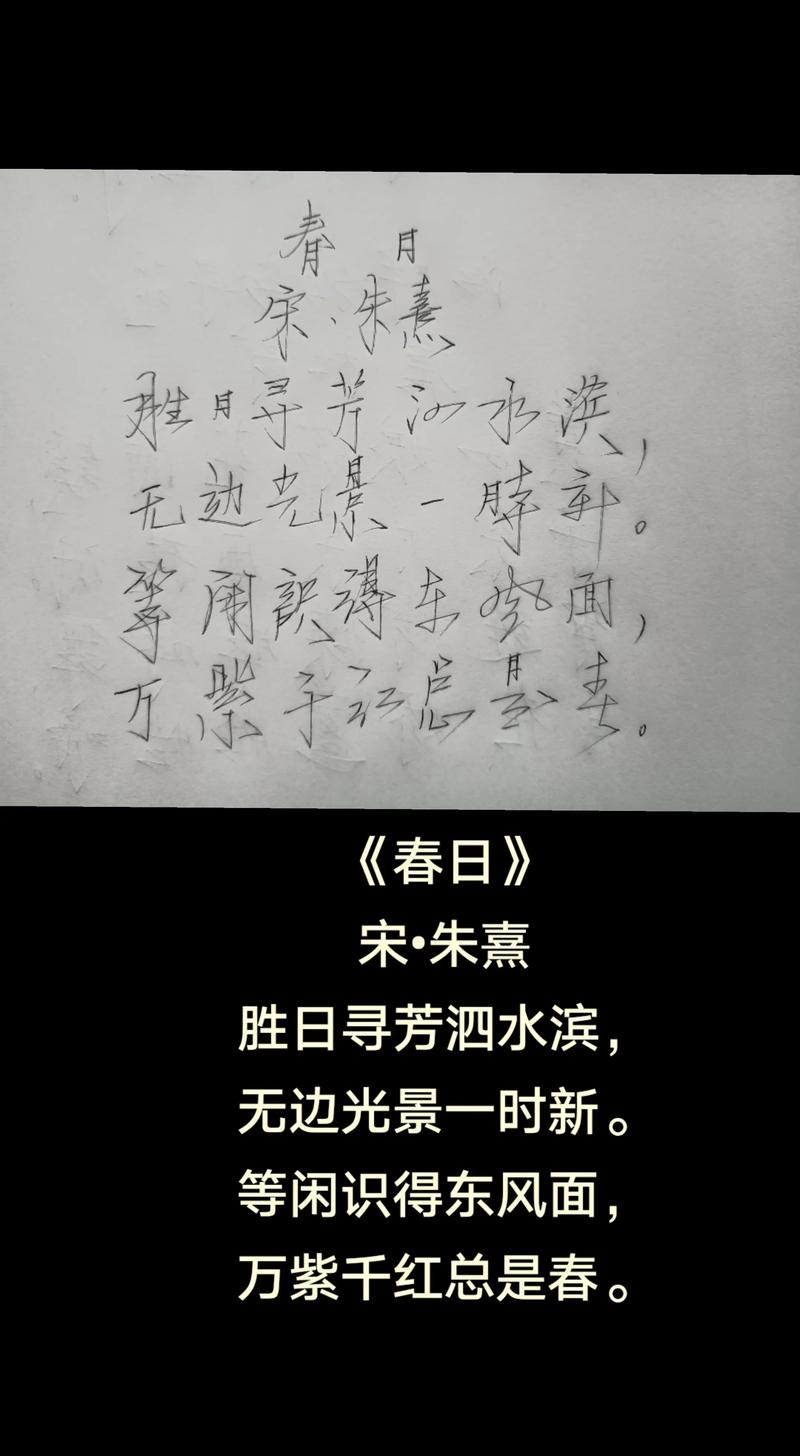 无限春光来不及 第1张 无限春光来不及 第1张