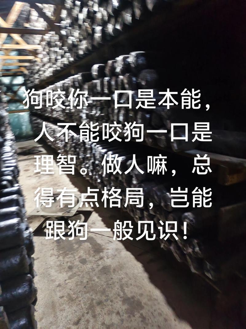 你的蛮狠逻辑 第1张 你的蛮狠逻辑 第1张
