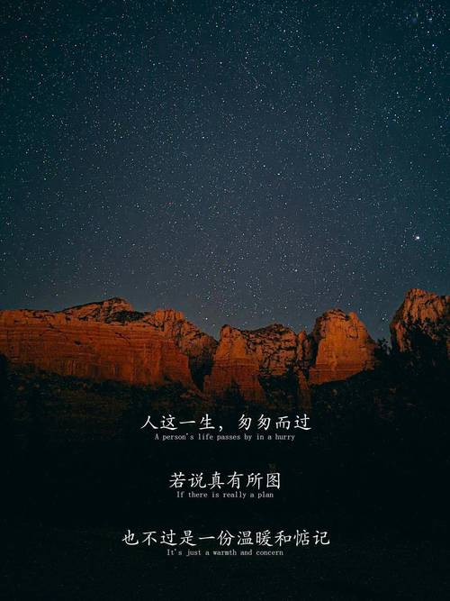 没有谁的一生，阳光朗月永相随  第1张