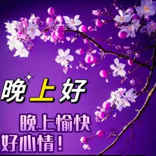 我的夜,我的祝福 第1张 我的夜,我的祝福 第1张