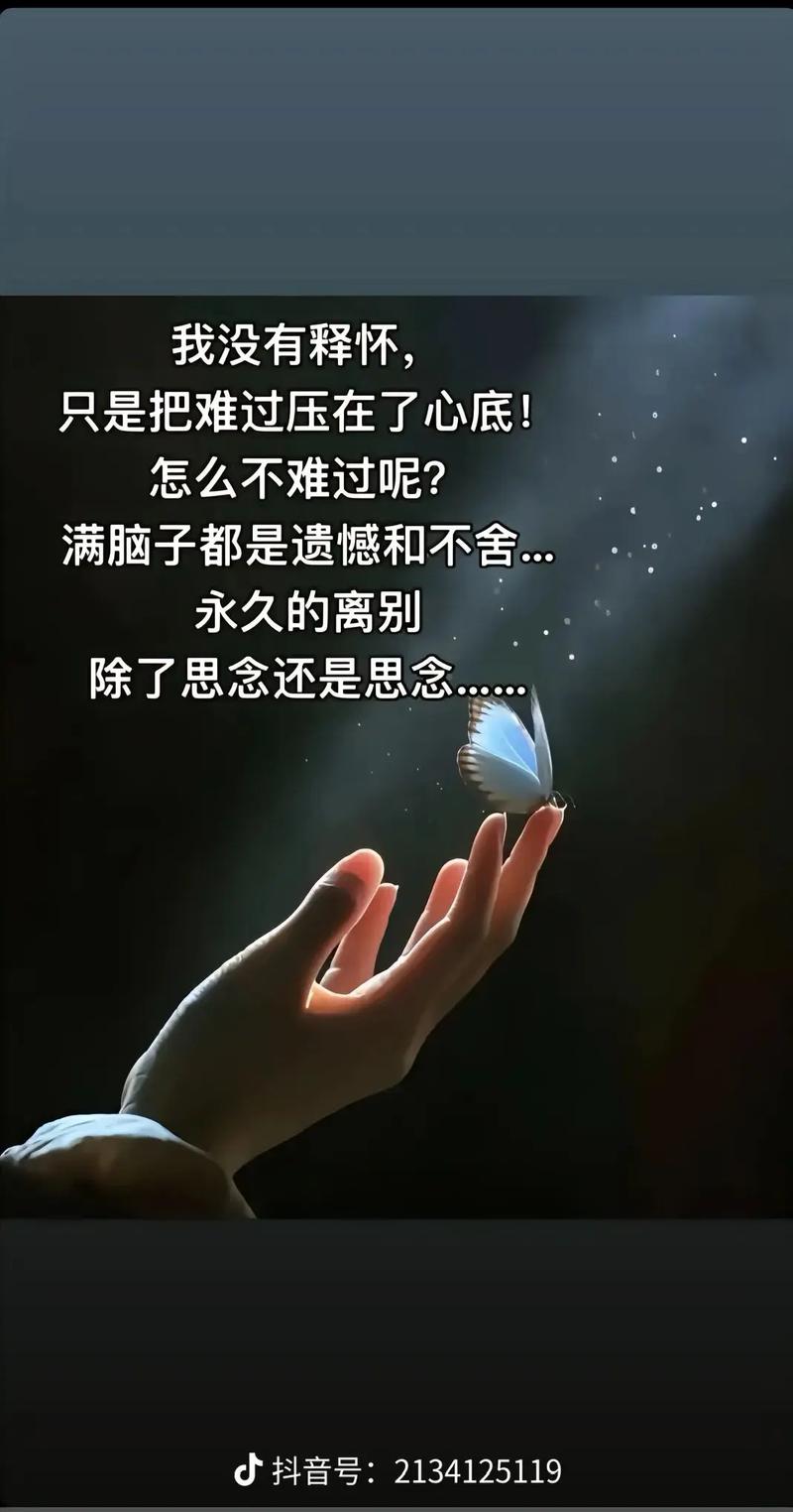 心中隔着梦 ,梦外一道墙 第1张 心中隔着梦 ,梦外一道墙 第1张