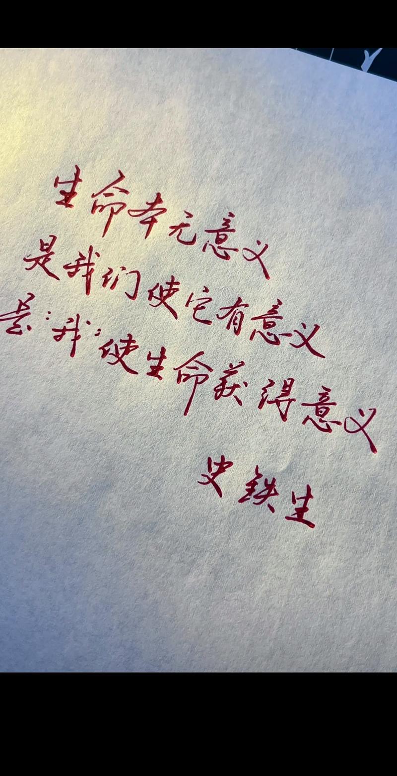 生有所意,命有所感,即为生命! 第1张 生有所意,命有所感,即为生命! 第1张