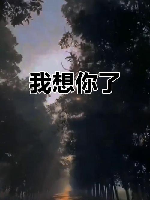我在想你  第1张