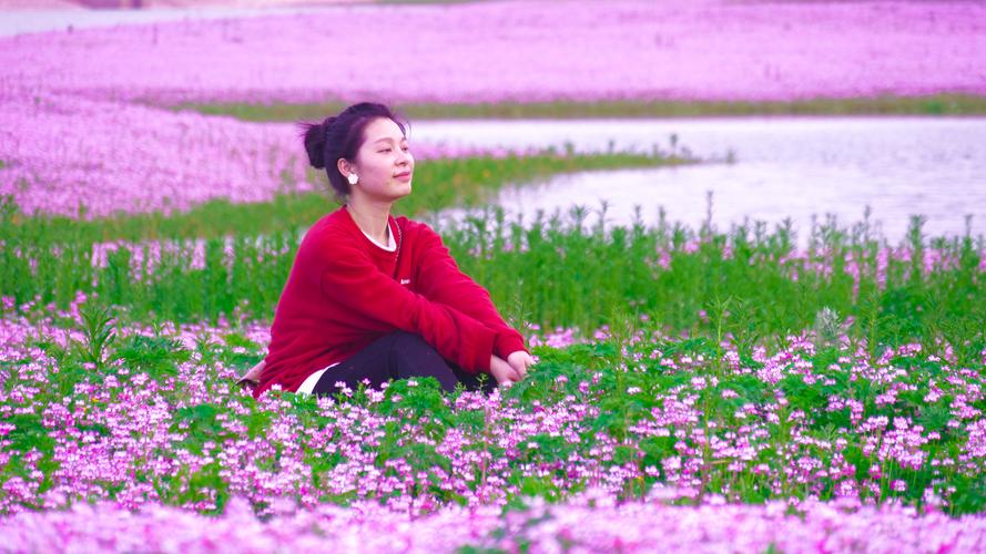紫花坪的女人  第1张