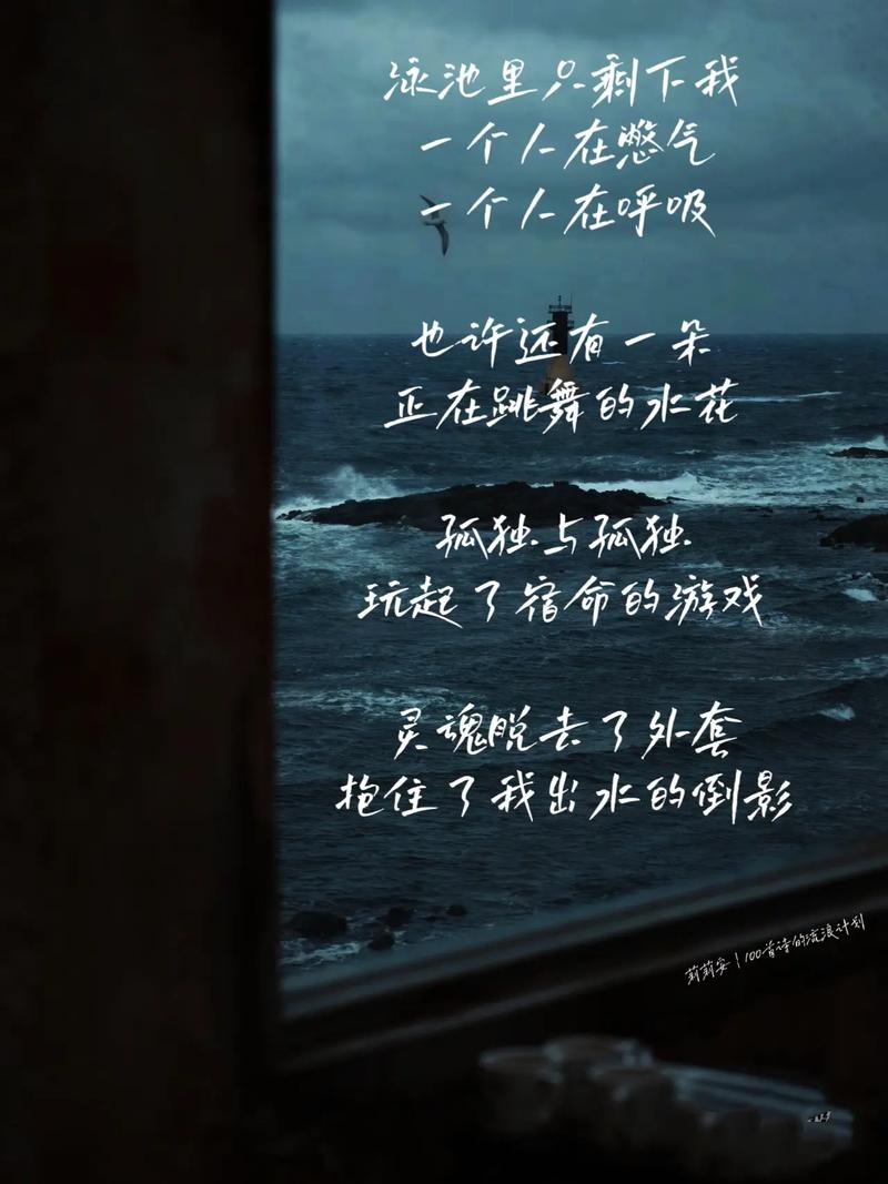 二十三个人的孤独宿命  第1张